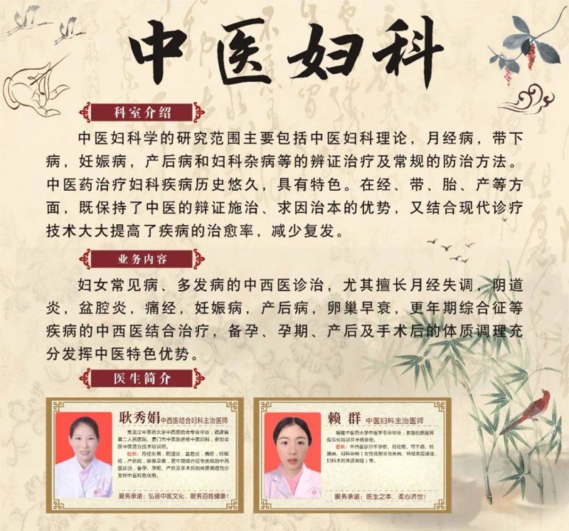 佰年颐堂：传承与创新的中医养生之道